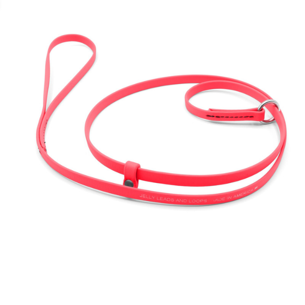 Jelly Pet Grooming Leads 5/8