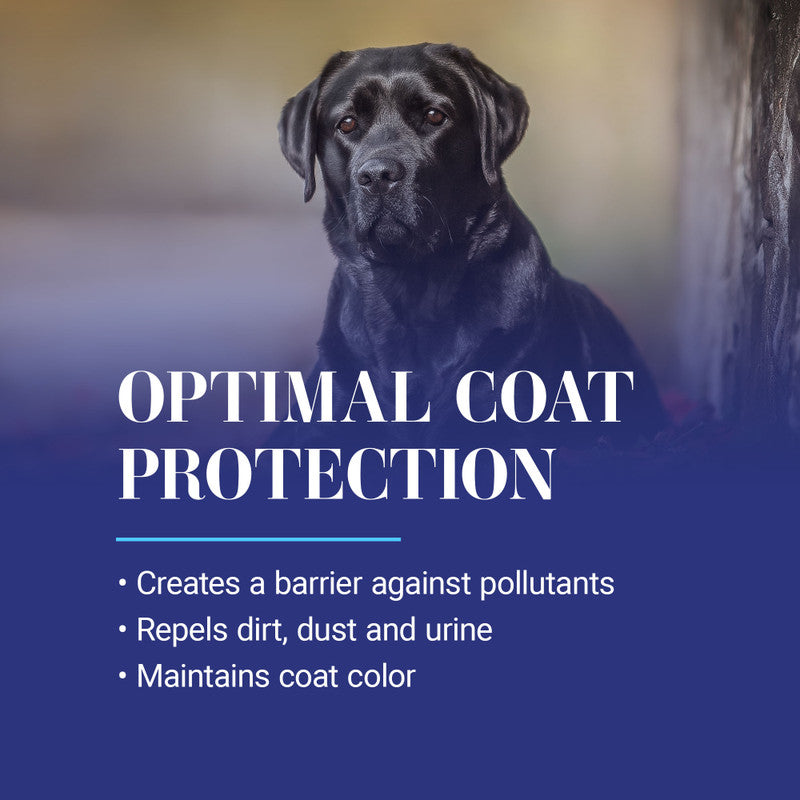 Ice on Ice Ultra Dematting Conditioning Spray (620) ...