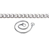 Champagne - Flat Link Snake Show Chain - Chrome