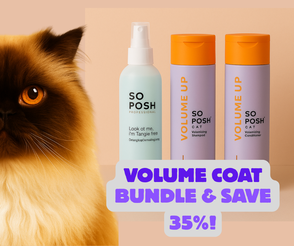 So Posh Volume Up - Volume Coat Bundle