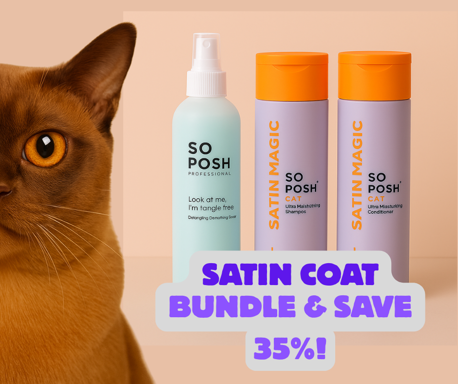So Posh Satin Magic - Satin Coat Bundle