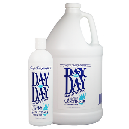 Day