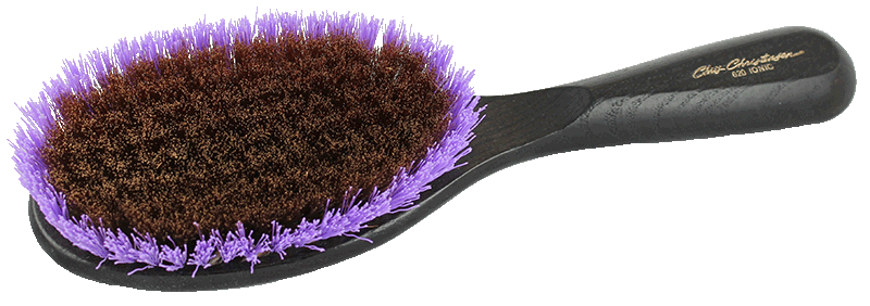 CCS Ionic Brass & Purple Nylon Brush ...