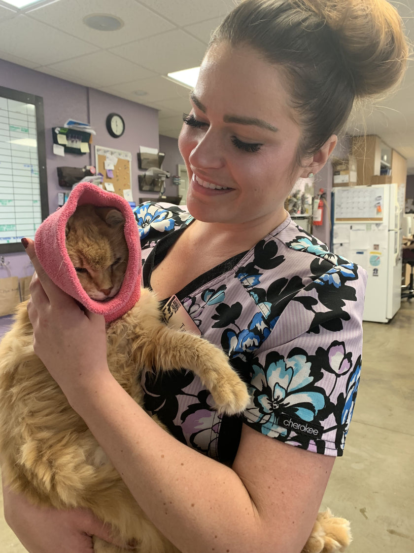 Happy Hoodie (Pink) for Dogs & Cats ... 5 Options