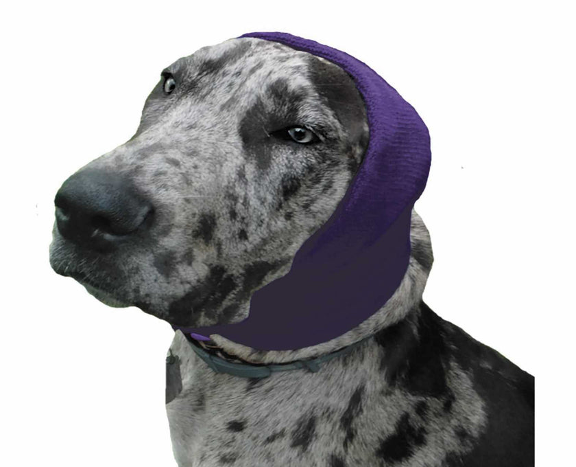 Happy Hoodie (Purple) for Dogs & Cats ... 5 Options