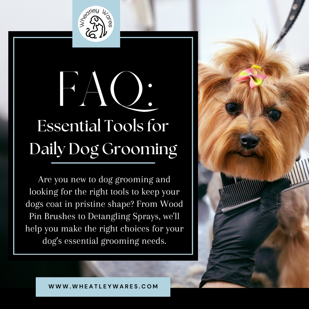 FAQ Essential Tools for Daily Dog Grooming