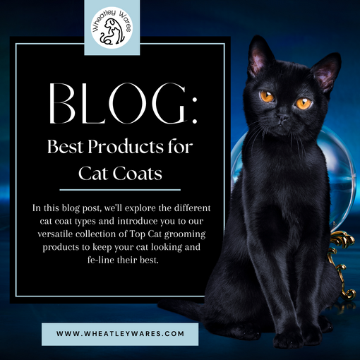 Best Products for Cat Coats