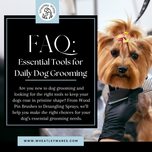 FAQ: Essential Tools for Daily Dog Grooming
