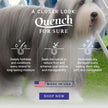 Chris Christensen Quench For Sure Leave-in Conditioning Spray (620)