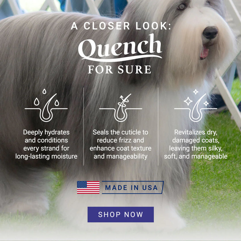 Chris Christensen Quench For Sure Leave-in Conditioning Spray (620)