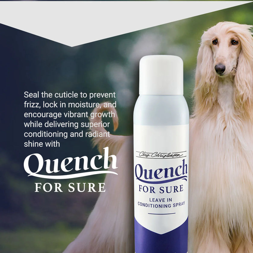 Chris Christensen Quench For Sure Leave-in Conditioning Spray (620)