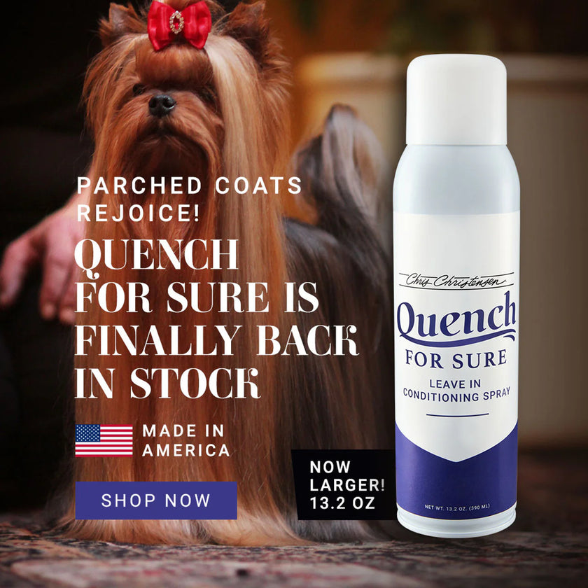 Chris Christensen Quench For Sure Leave-in Conditioning Spray (620)