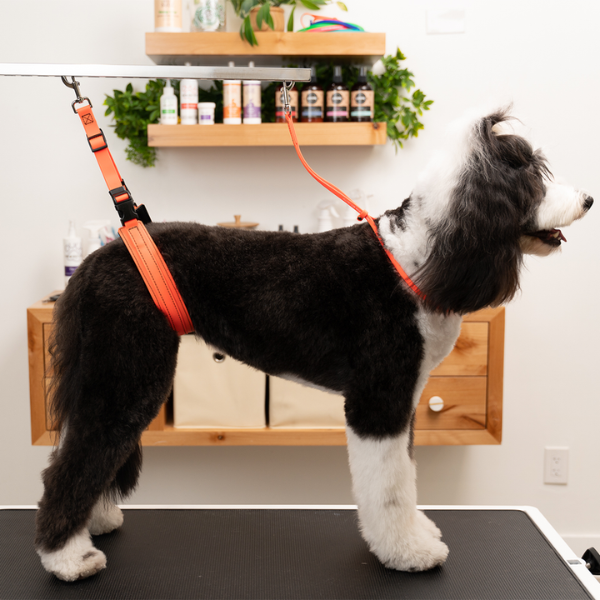 Jelly Pet Grooming Belly Loop [7 colours] ...