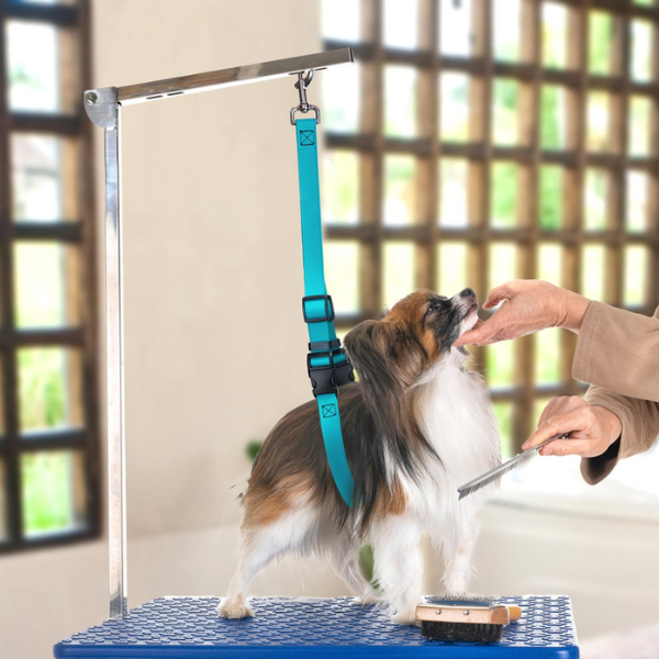 Jelly Pet Grooming Belly Loop [7 colours] ...