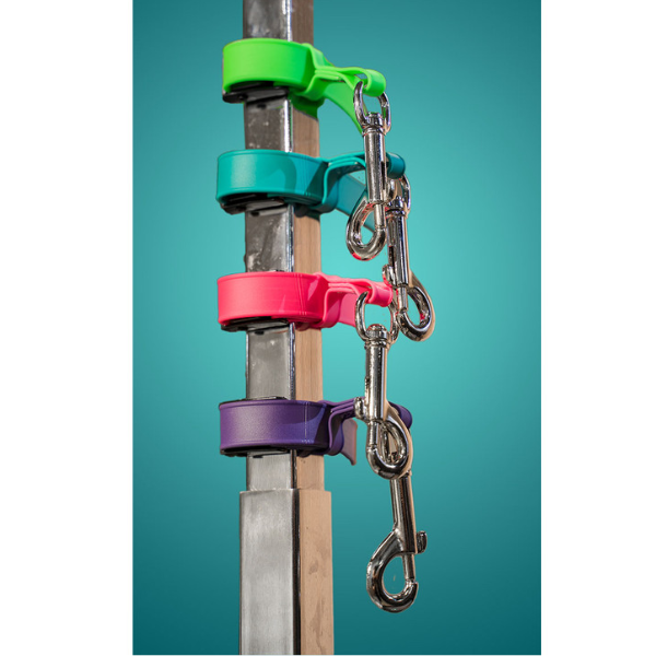 Jelly Pet Safety Tether [4 colours] ...