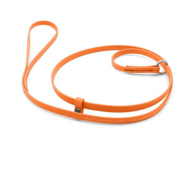 Jelly Pet Grooming Leads 5/8