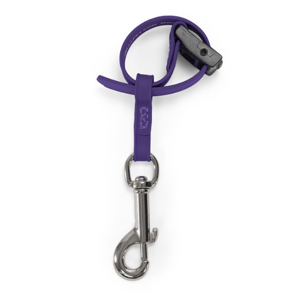 Jelly Pet Safety Tether [4 colours] ...