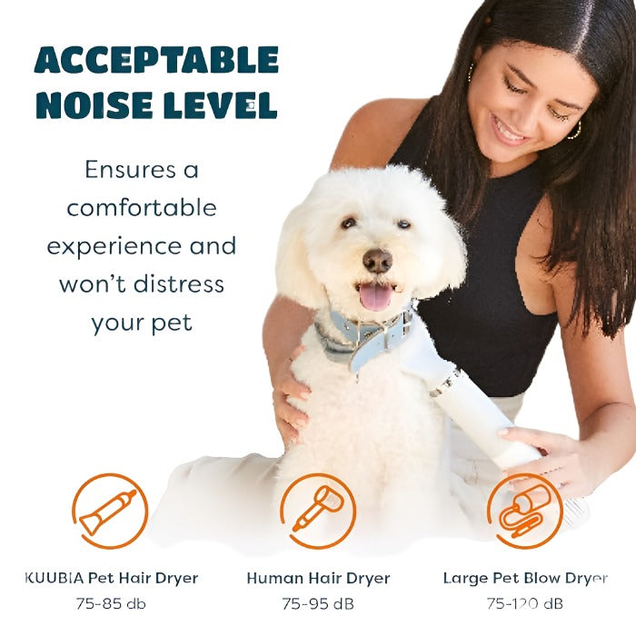 Portable Handheld Pet Dryer 5 in 1