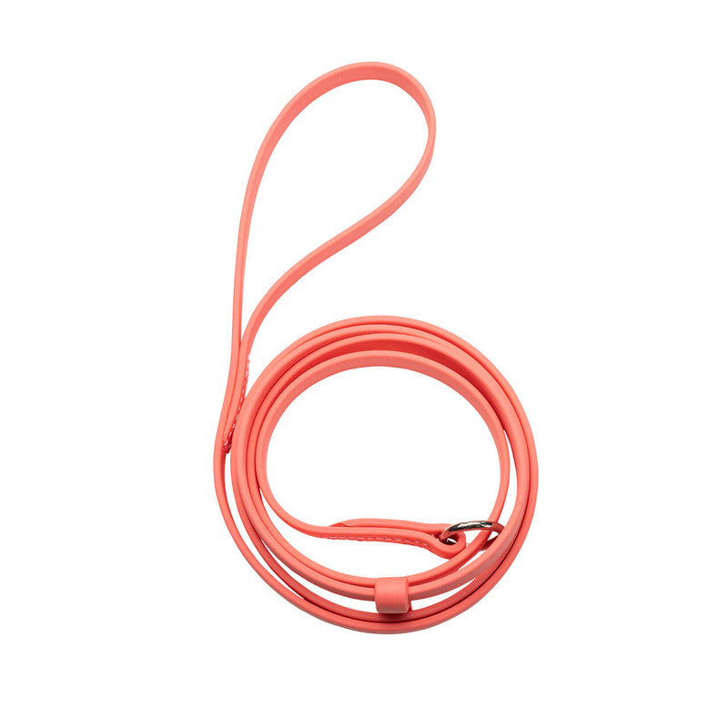 Jelly Pet Grooming Leads 3/8