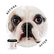 Eye Envy - Bull Dog Starter Kit