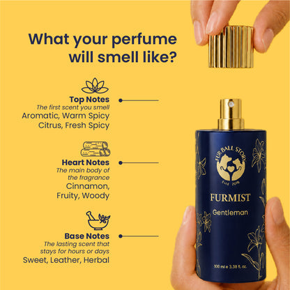 Furmist Gentleman - Cologne