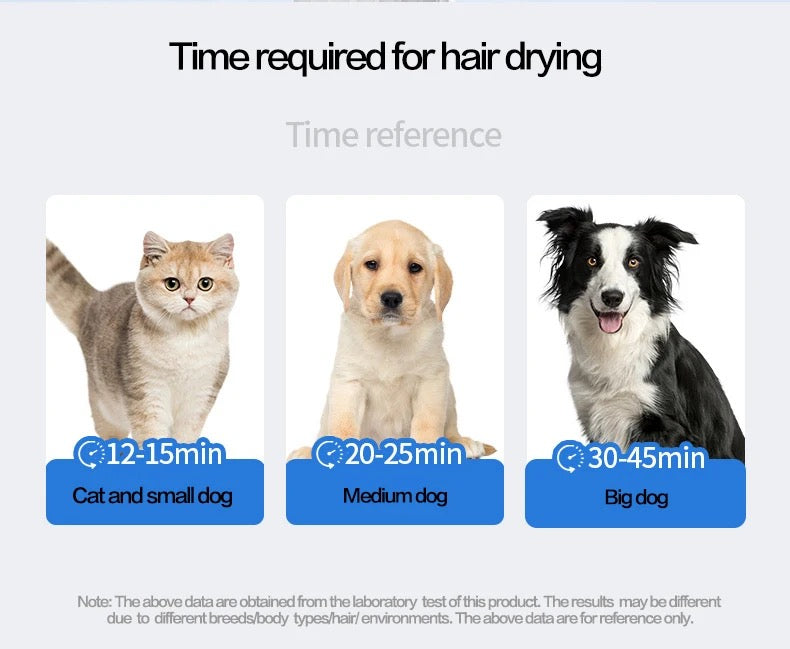 Portable Handheld Pet Dryer 4 in 1