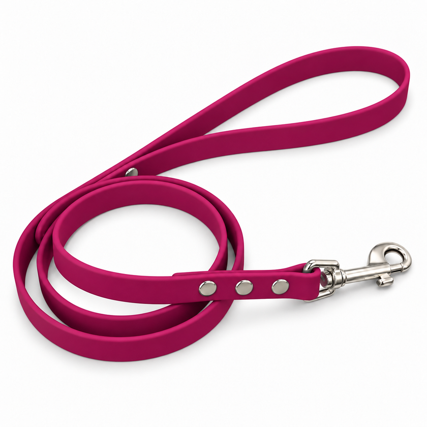 Biothane Leashes 5/8