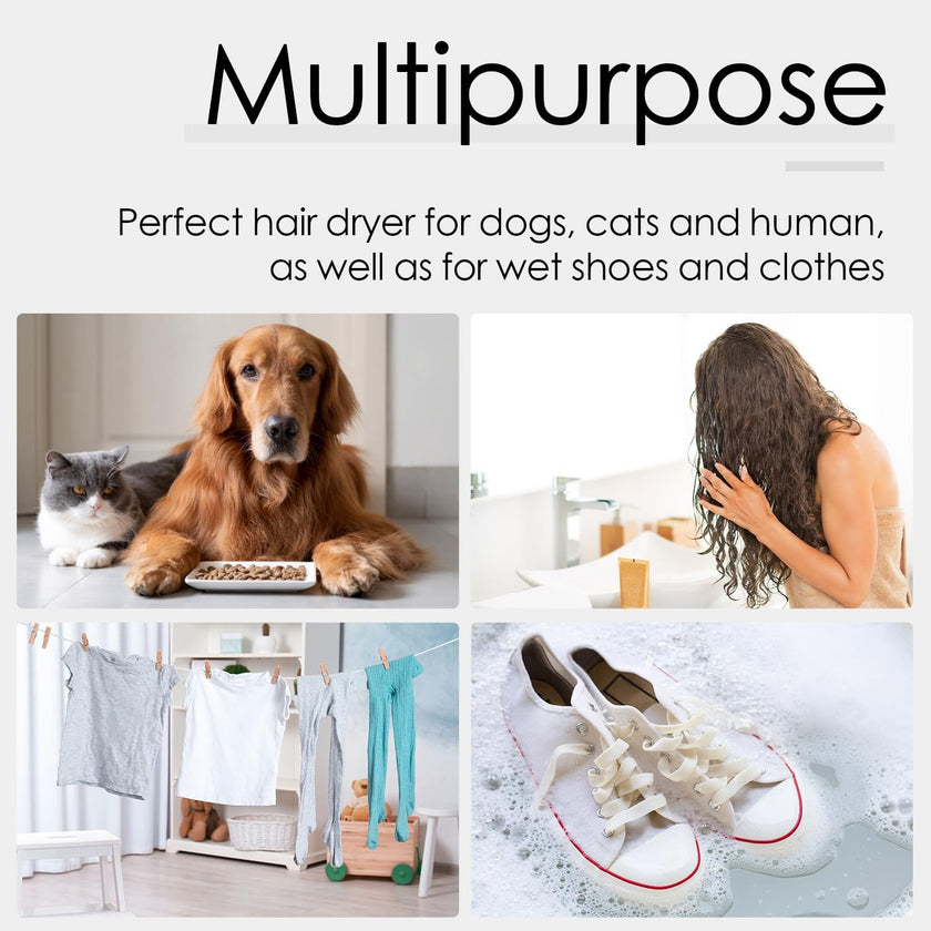 Portable Handheld Pet Dryer 4 in 1