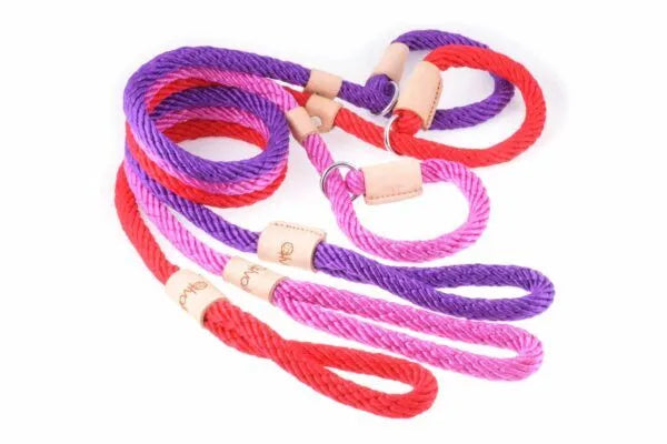 Sport Slip Lead with Stopper - (Multiple Colours and Sizes)