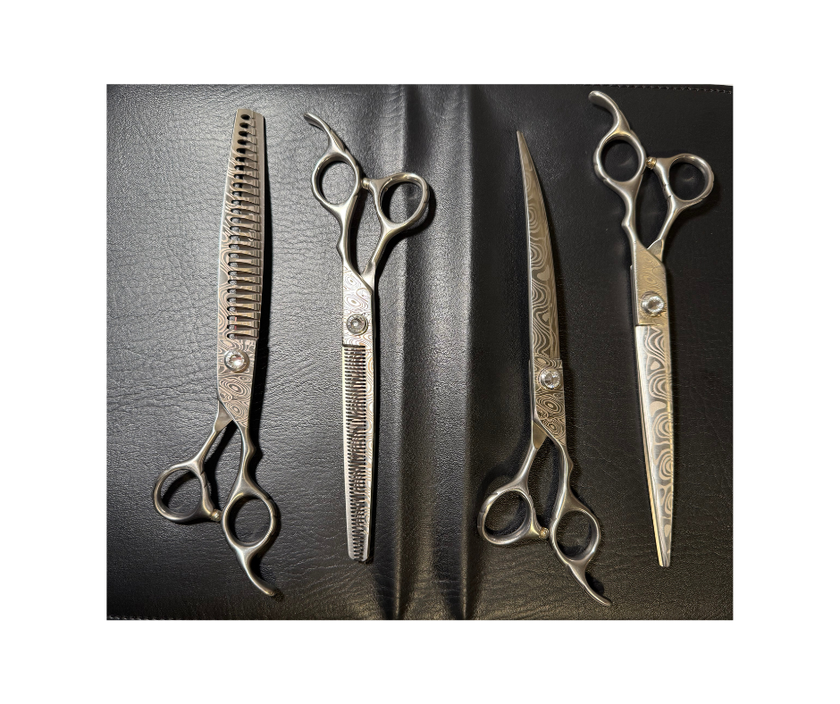 Moon 8 - 4pc Set with Case (2 options)