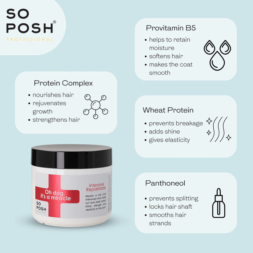 So Posh Oh Dog, It's a Miracle Intensive Repair Mask