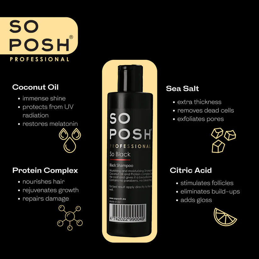 So Posh So Black Shampoo (2 sizes) ...
