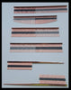 Aussie Dog Ionic Strip Combs (6 Options)