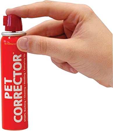 Pet Corrector
