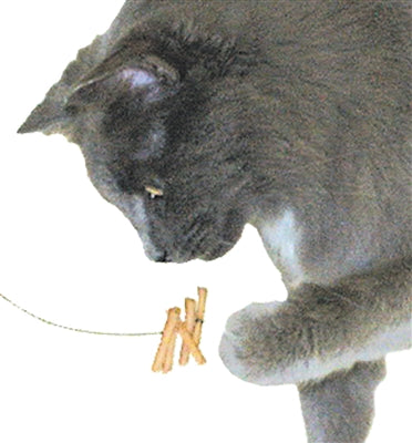 Cat Dancer Original - 2 Pack