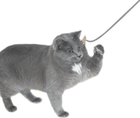 Cat Dancer Original - Single