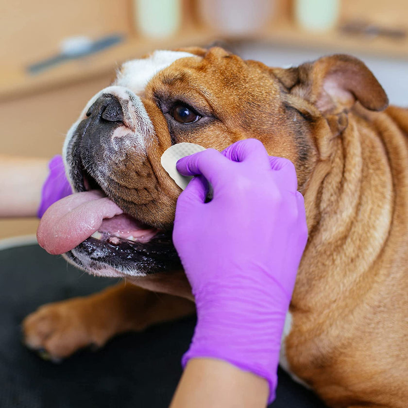 Eye Envy - Bulldog Wrinkle Wipes (Pre-soaked Pads)