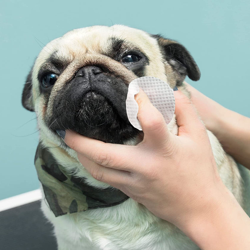 Eye Envy - Bulldog Wrinkle Wipes (Pre-soaked Pads)
