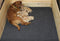 Drymate Washable Whelping Mat, Puppy Pad (48" by 100") Grey