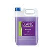 Artero Blanc Shampoo (3 sizes) ...