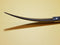 "Moon Beam" - 7.5" Curve (RH)