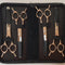 "Moon Walk" - 6.5" - 4 Piece Set + Case (RH) ... In 5 Colours ...