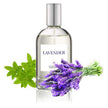 iGROOM - Lavender Perfume/Cologne
