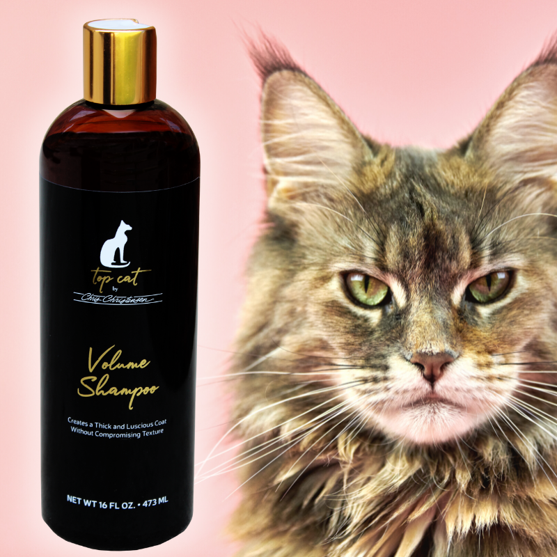 Top Cat - Volume Shampoo (3 sizes) ...