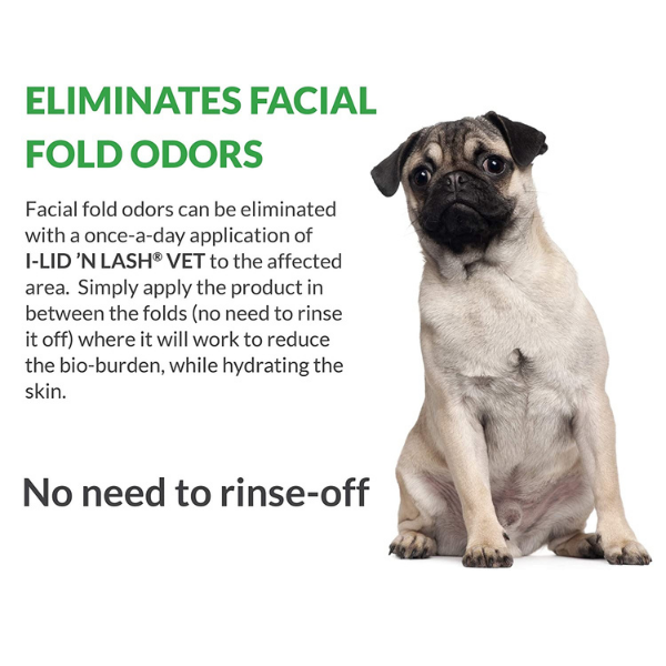 I-Lid 'N Lash Hygiene Vet Hydrating Cleansing Wipes (60 Count)...