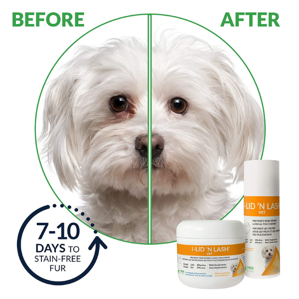 I-Lid 'N Lash Hygiene Vet Hydrating Cleansing Wipes (60 Count)...