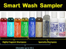 Smart Wash Sampler