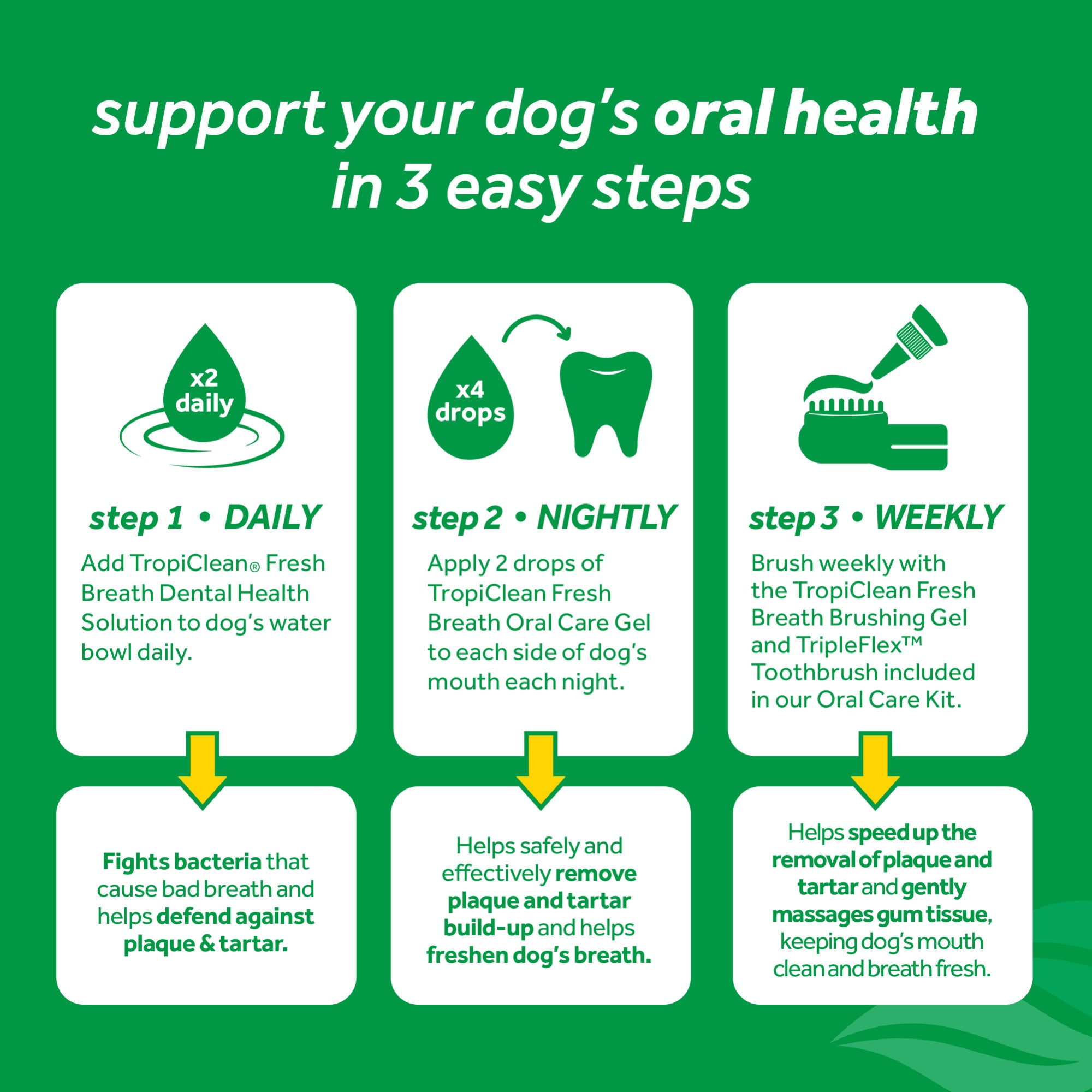 Fresh Breath Dental & Oral Care Brushing Gel for Dogs