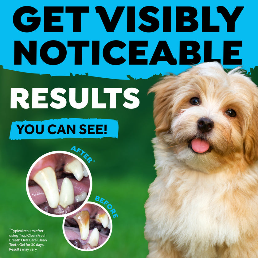 Finger Brushes for Dogs