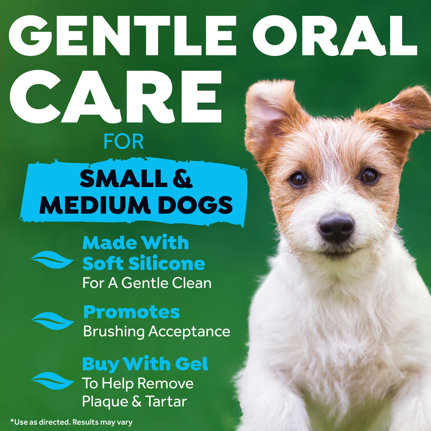 Finger Brushes for Dogs